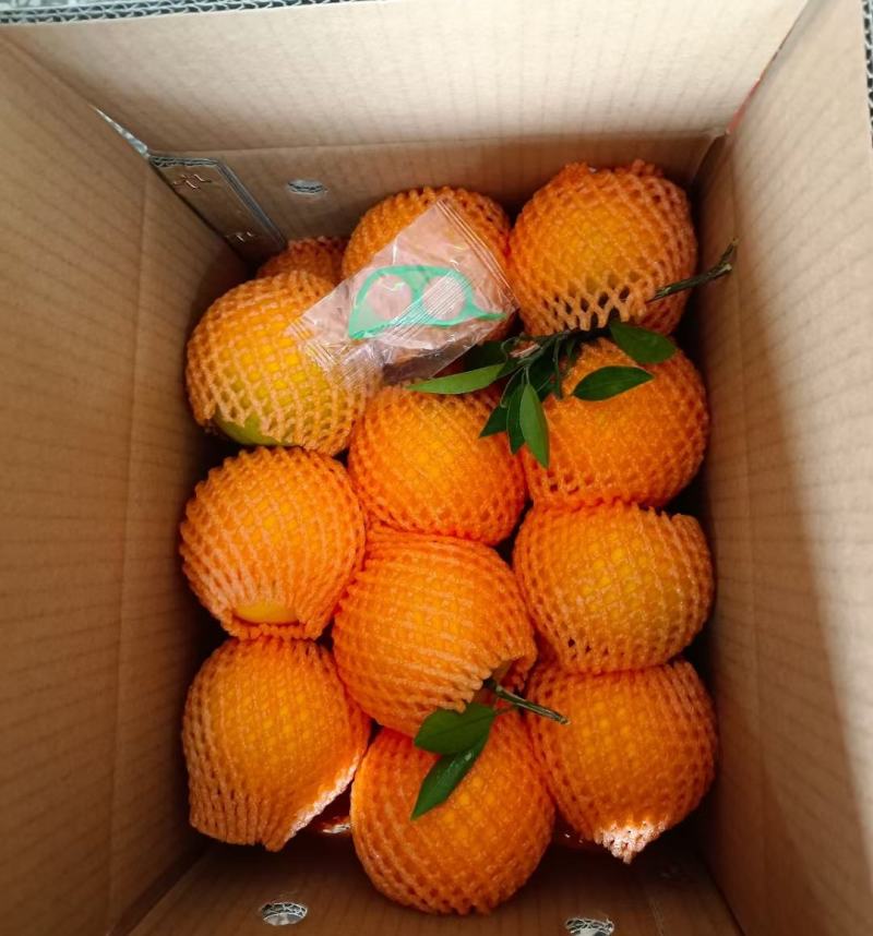 纽荷尔脐橙湖北宜昌产地发货量大价优