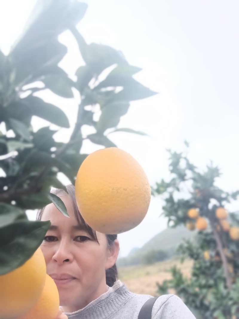 家乡特产，各种应季水果…