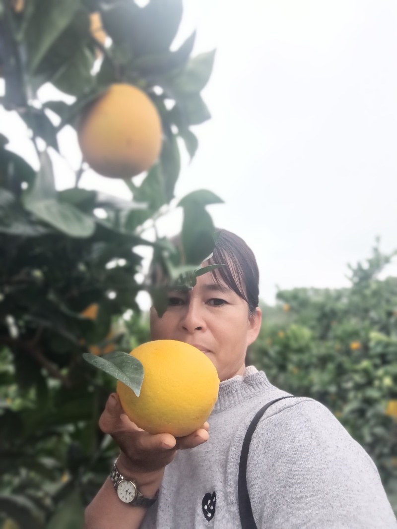 家乡特产，各种应季水果…