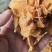 羊肚耳大量现货
