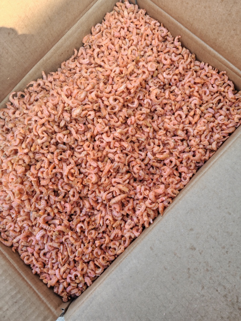 【精品】金钩海米虾米草虾仁产地直销