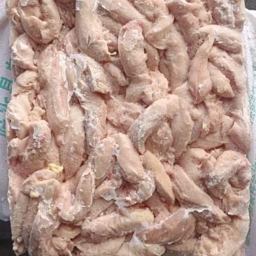 老鸡小胸