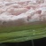 老鸡小胸