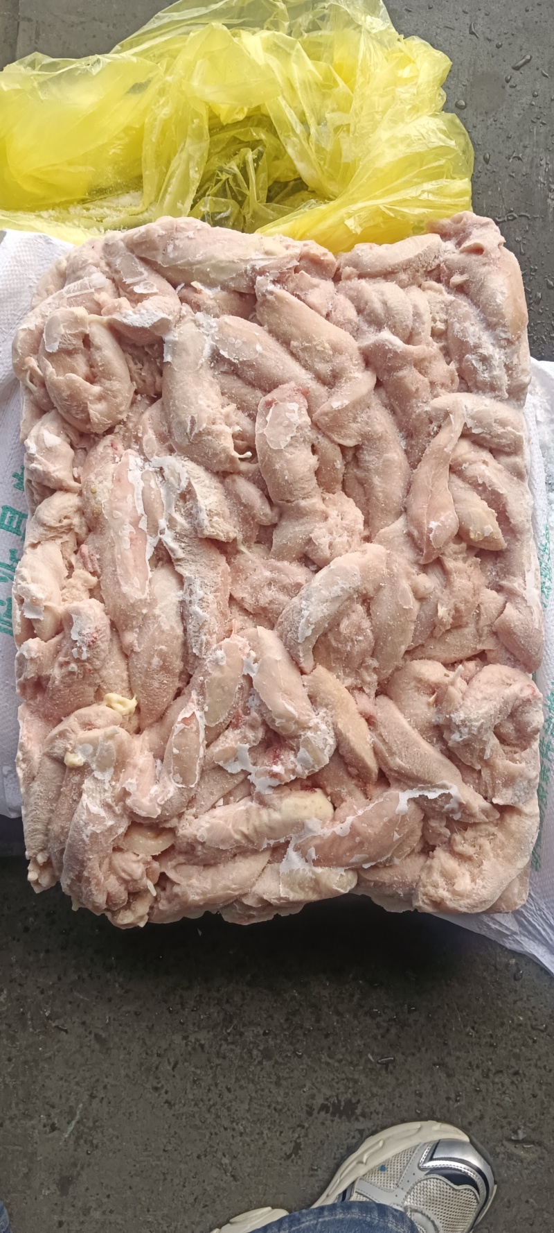 老鸡小胸