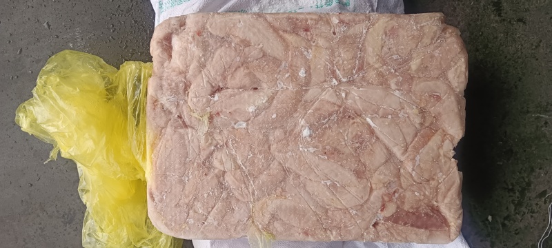 老鸡小胸