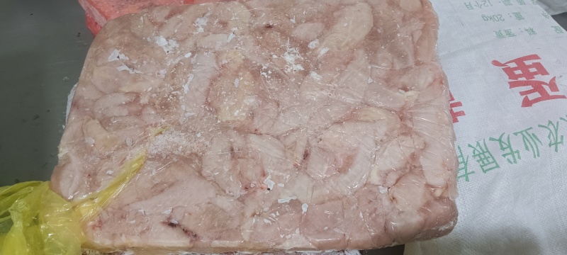 老鸡小胸