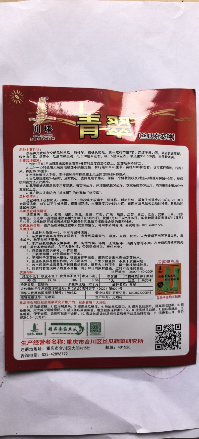 丝瓜种子青翠皮色油绿顺直强雌带瓜力强抗病高产优质