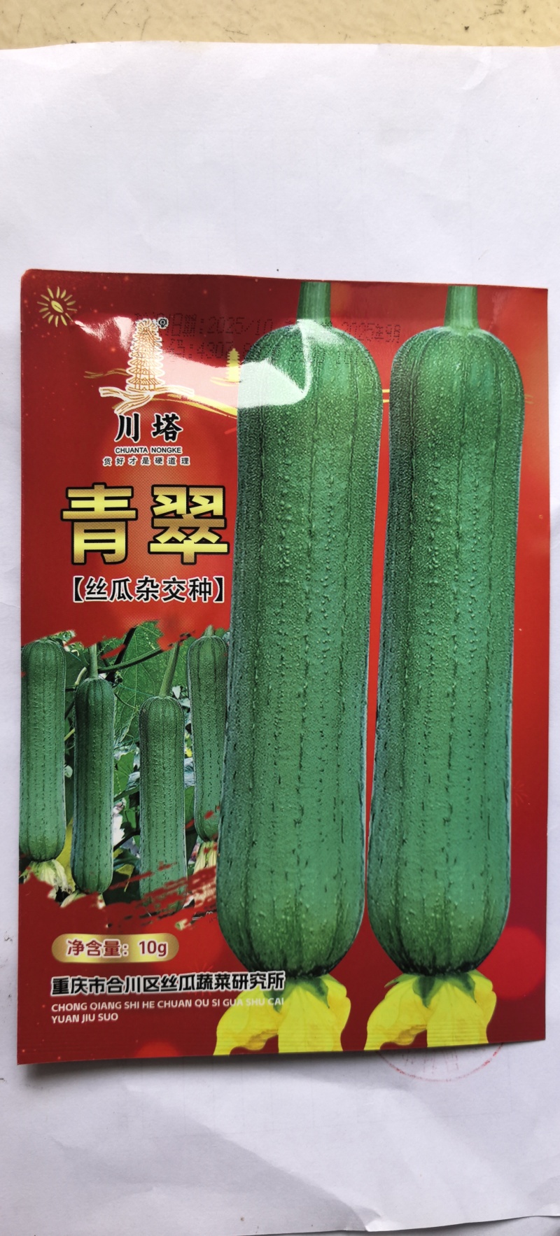 丝瓜种子青翠皮色油绿顺直强雌带瓜力强抗病高产优质