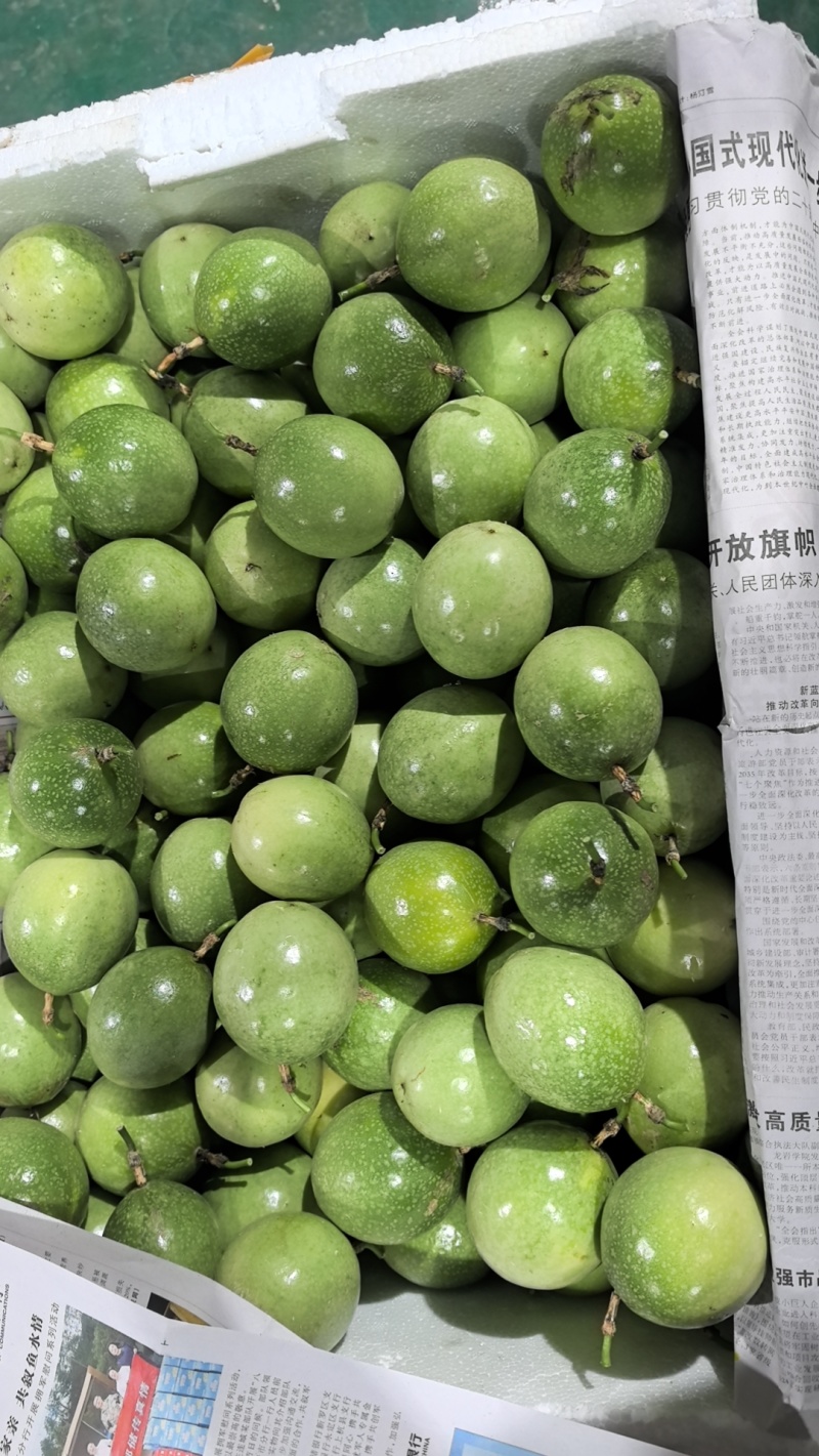 武平黄金百香果