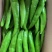 优质精品黄皮辣椒尖椒现摘现发品质保证量大价优全国发货