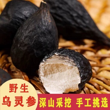 正宗云南乌灵参干货中药材正宗乌苓参切片新鲜鸡