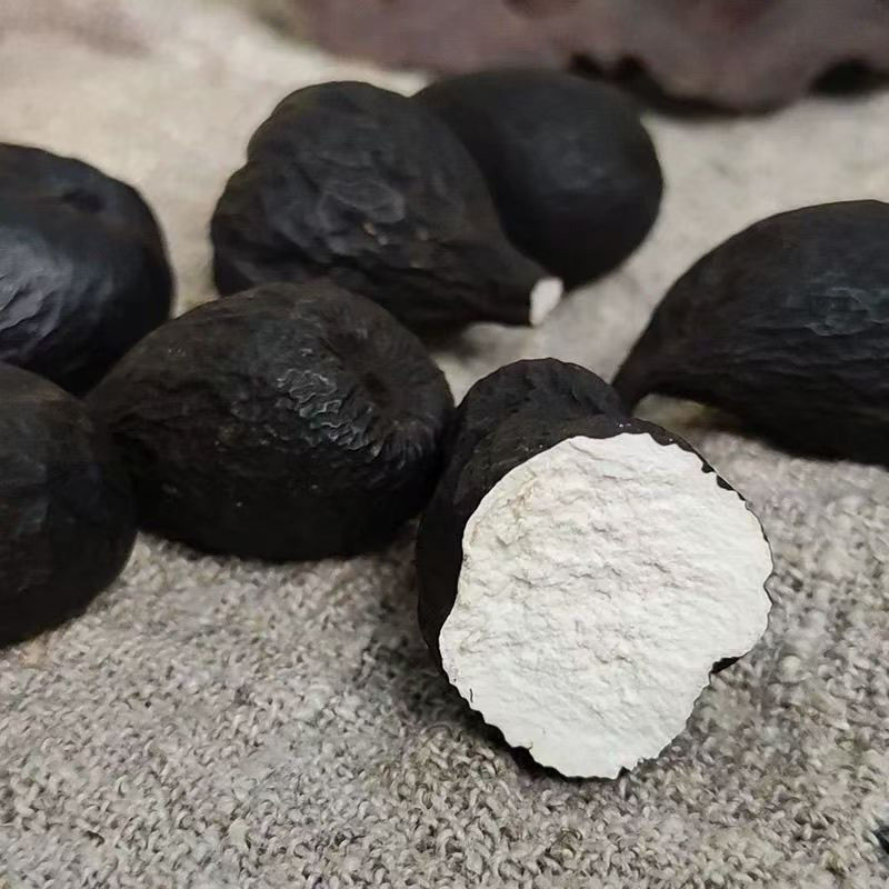 正宗云南乌灵参干货中药材正宗乌苓参切片新鲜鸡