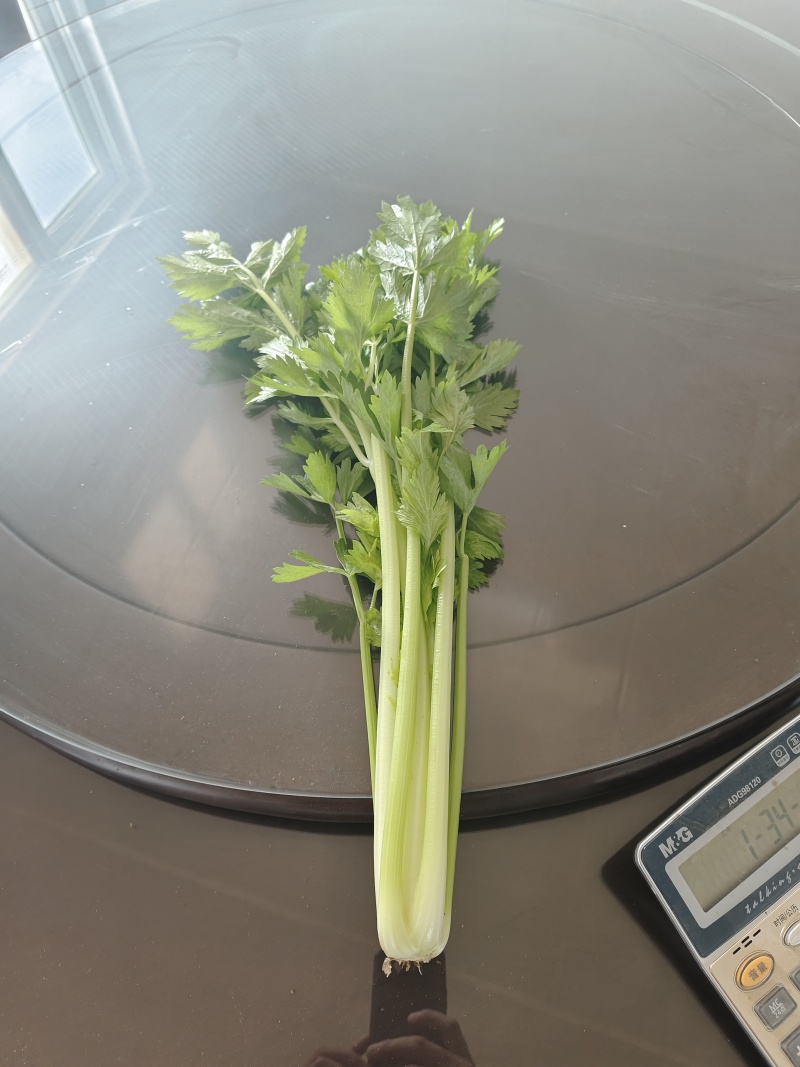 河北石家庄西芹芹菜