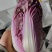 精品紫白菜，靓货