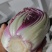 精品紫白菜，靓货