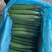 山东精品短把密刺黑油亮黄瓜新鲜现摘现发品质保证量大价优