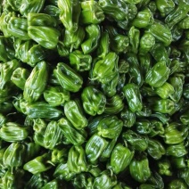 【精品麻辣椒薄皮椒】山东基地直供货源充足/品质保证量大价