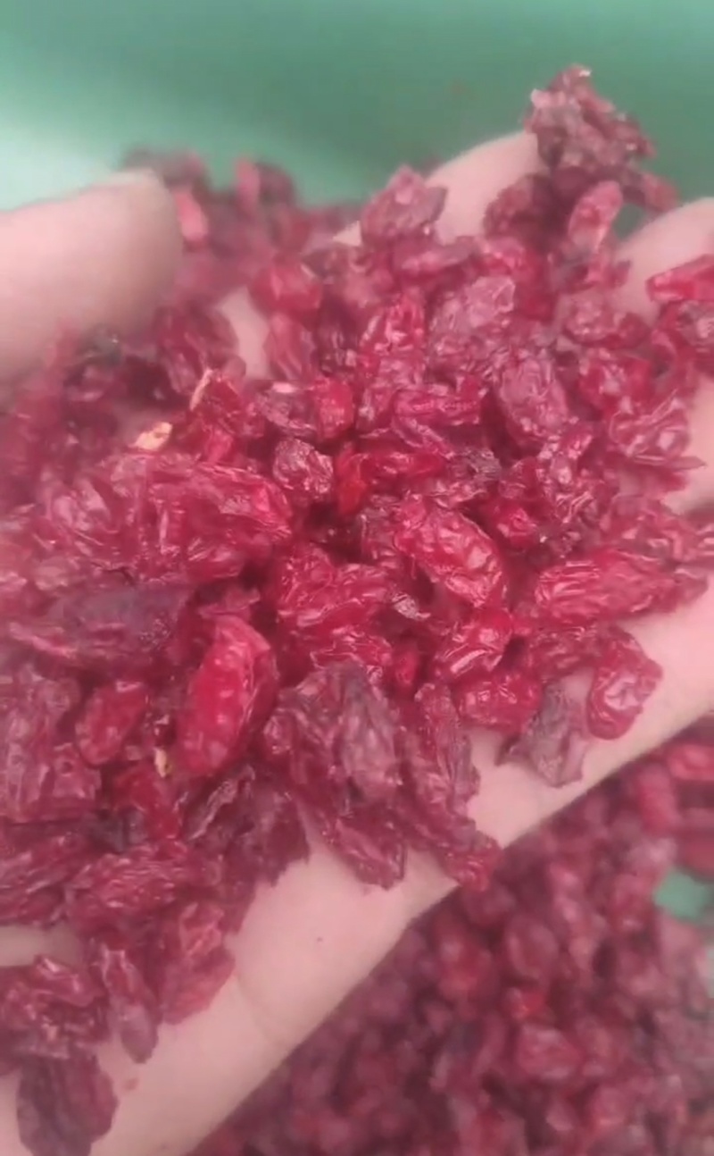 推荐南阳萸肉基地直供量大从优品质保证一手货源
