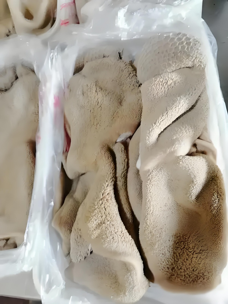 国产羊肚带毛羊肚清水洗干净的不掉毛免洗羊肚