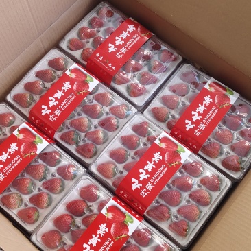 丹东九九草莓板子，水晶盒，各种款式！