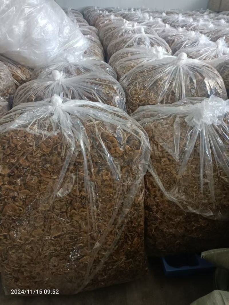 茶树菇大量上市，产地直发，品质保证，服务周到，诚信经营