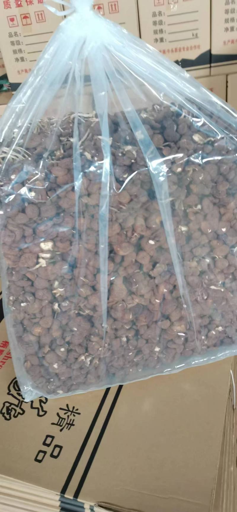 茶树菇大量上市，产地直发，品质保证，服务周到，诚信经营