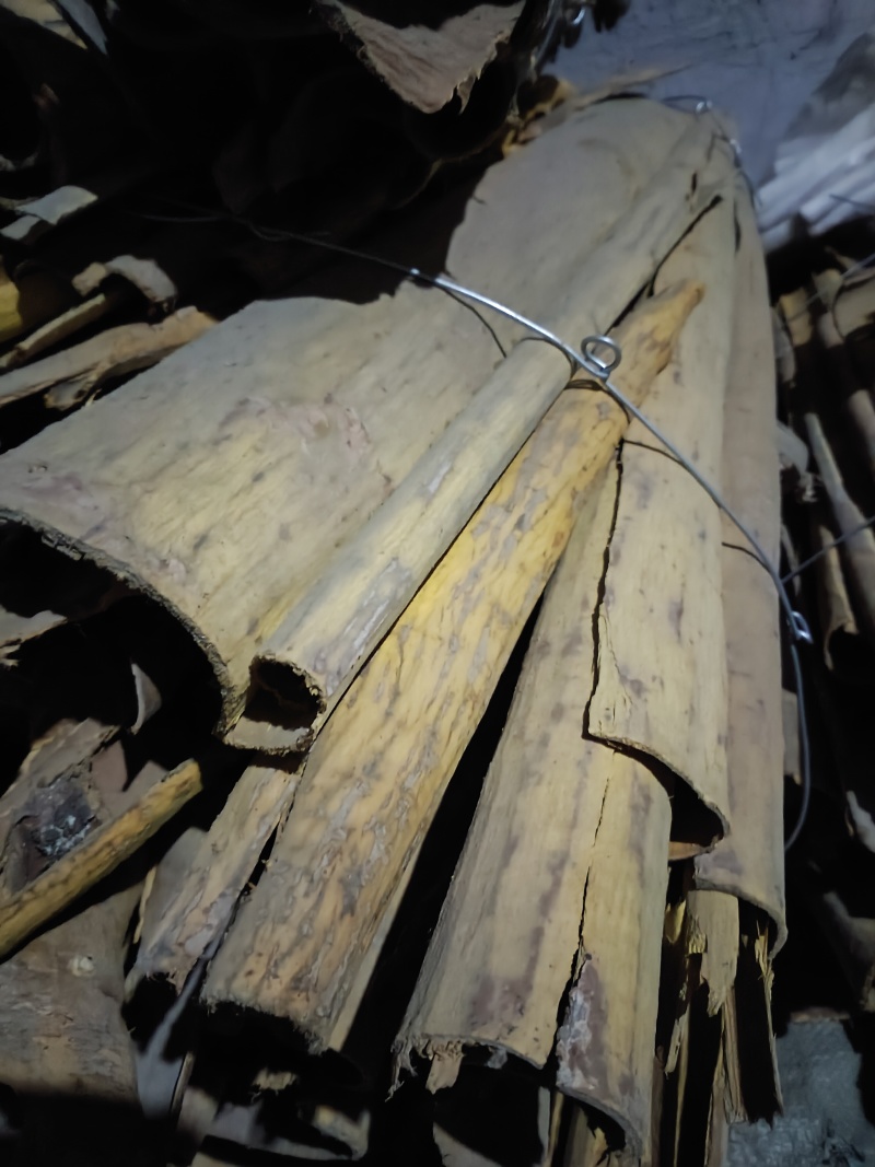 黄柏规格齐全深山老树含量高颜色亮产地一手直发