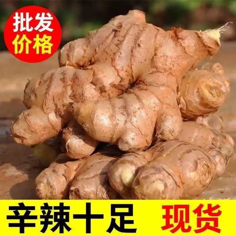生姜鲜姜大黄姜小黄姜生姜按需加工一条龙服务价格低