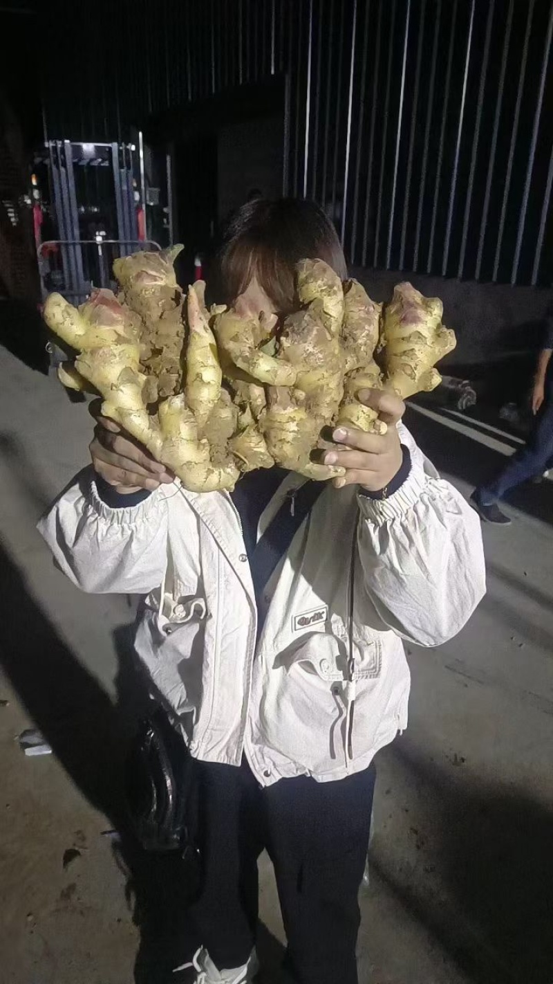 生姜鲜姜大黄姜小黄姜生姜按需加工一条龙服务价格低