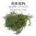 新侧柏叶粉柏中药材侧柏叶粉侧柏叶泡酒现磨细粉侧柏叶洗发