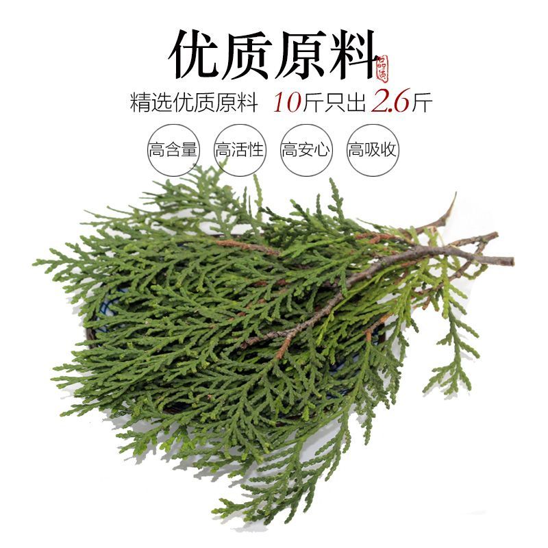 新侧柏叶粉柏中药材侧柏叶粉侧柏叶泡酒现磨细粉侧柏叶洗发