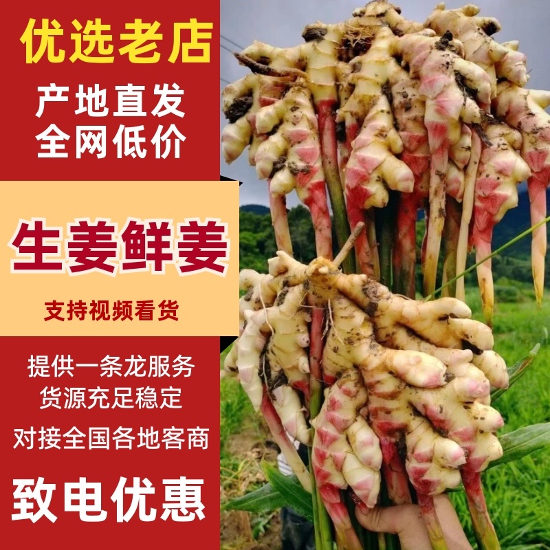 生姜鲜姜大黄姜小黄姜生姜按需加工一条龙服务价格低