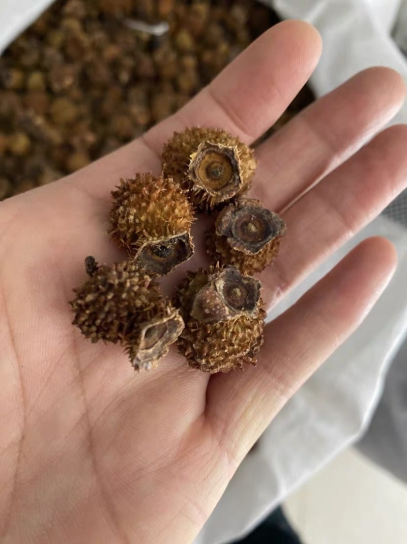 刺梨干货刺梨精选刺梨干果中药材野生自然晒干
