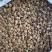 刺梨干货刺梨精选刺梨干果中药材野生自然晒干