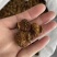 刺梨干货刺梨精选刺梨干果中药材野生自然晒干