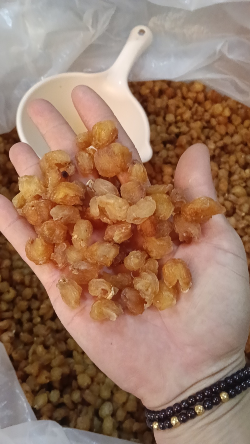 罐装古树桂圆肉，优质桂圆肉，肉紧味浓，一口尝尽鲜醇感