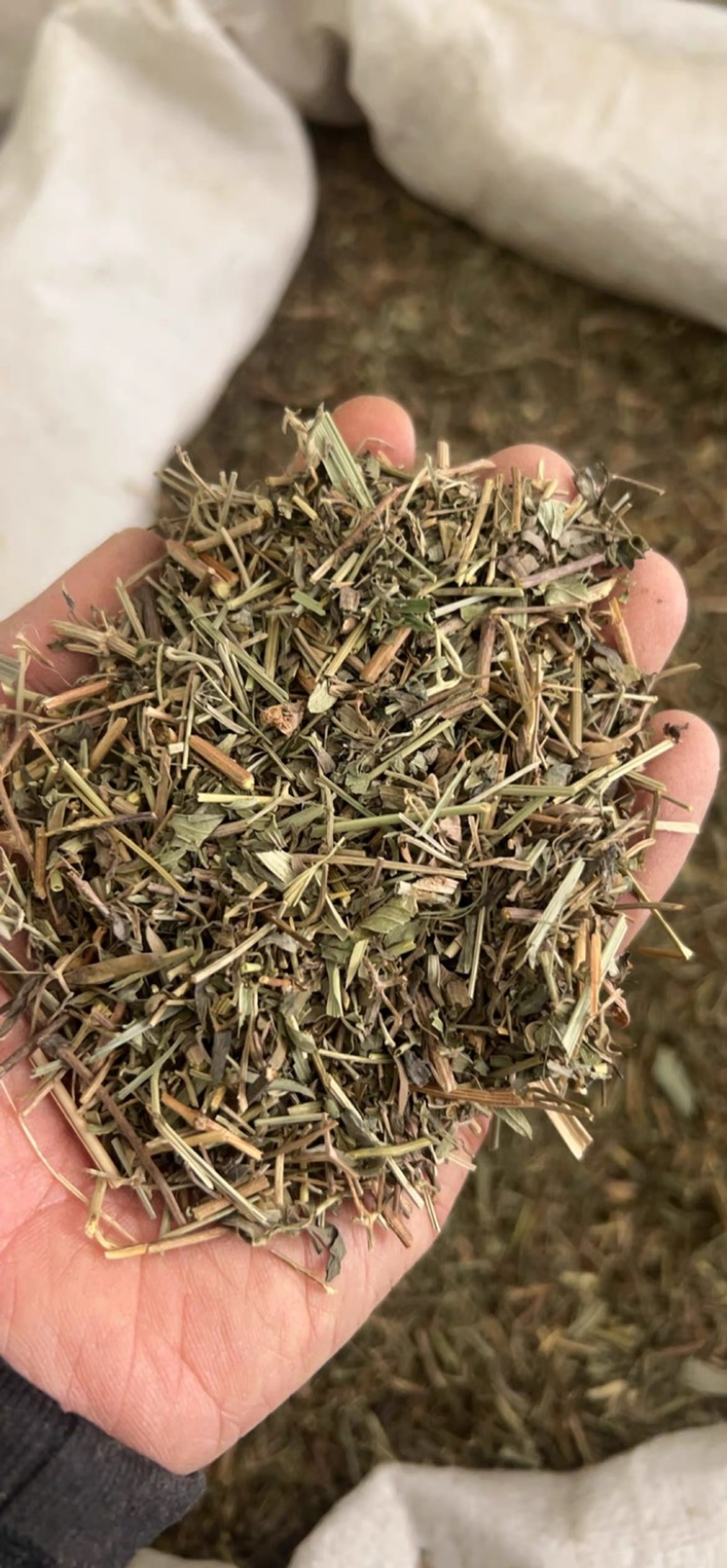 凤仙透骨草干货无硫新货透骨草中药材现货现发