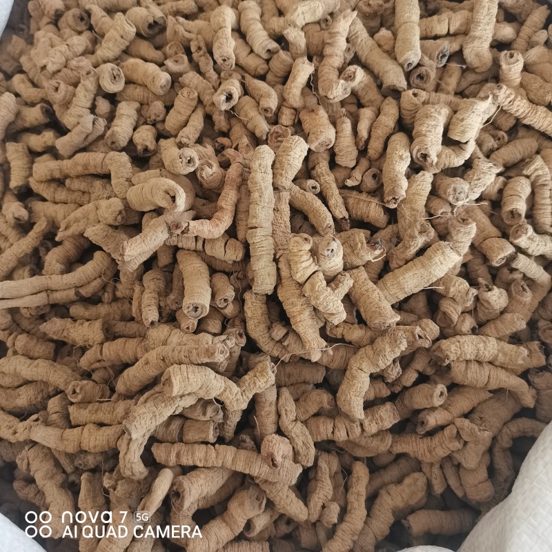 中药材巴戟天大货供应规格齐全可一件代发哦