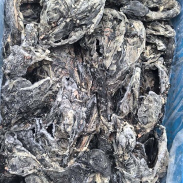乌鸡鸡架2吨2600一吨工厂直发手续齐全
