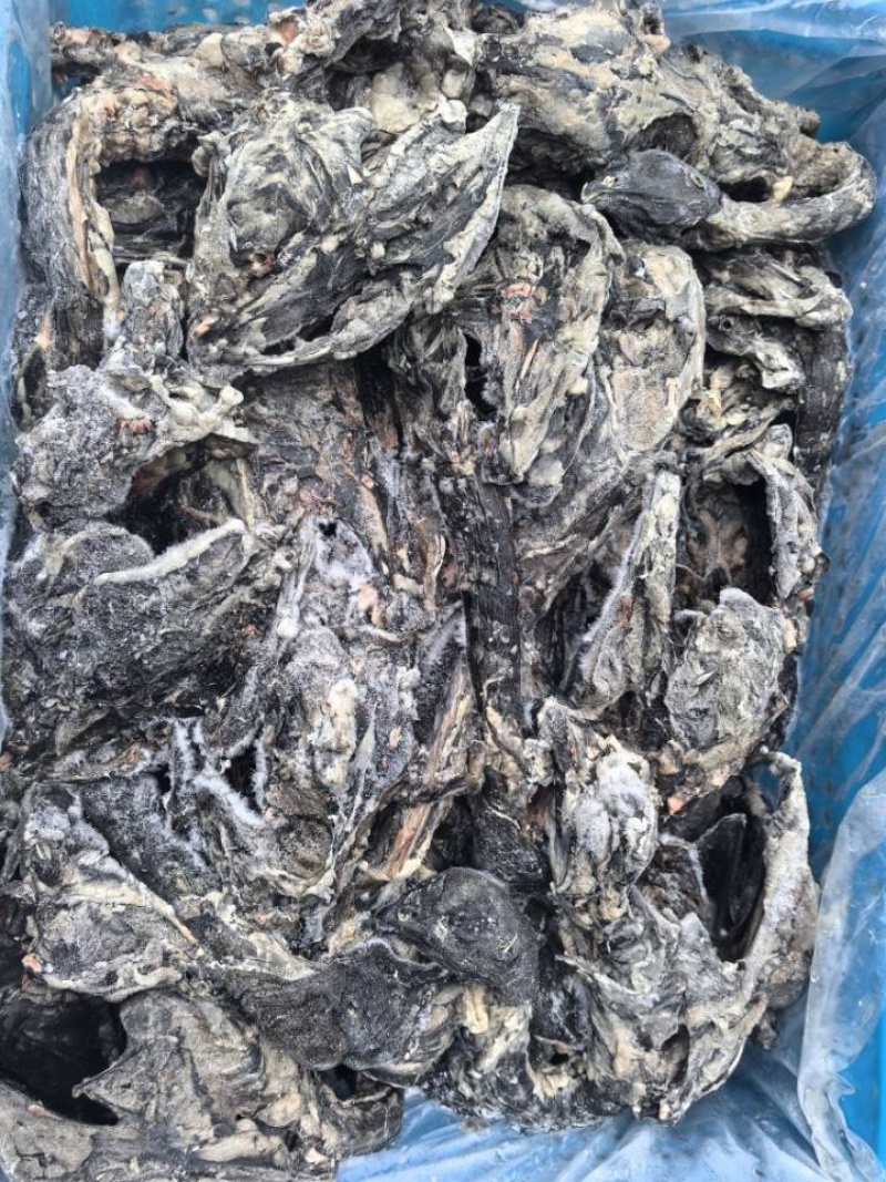 乌鸡鸡架2吨2600一吨工厂直发手续齐全