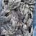 乌鸡鸡架2吨2600一吨工厂直发手续齐全