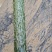 瓜果蔬菜第一县代发代购