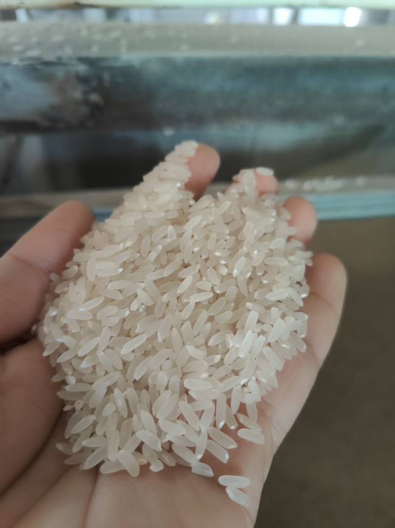 长粒香大米