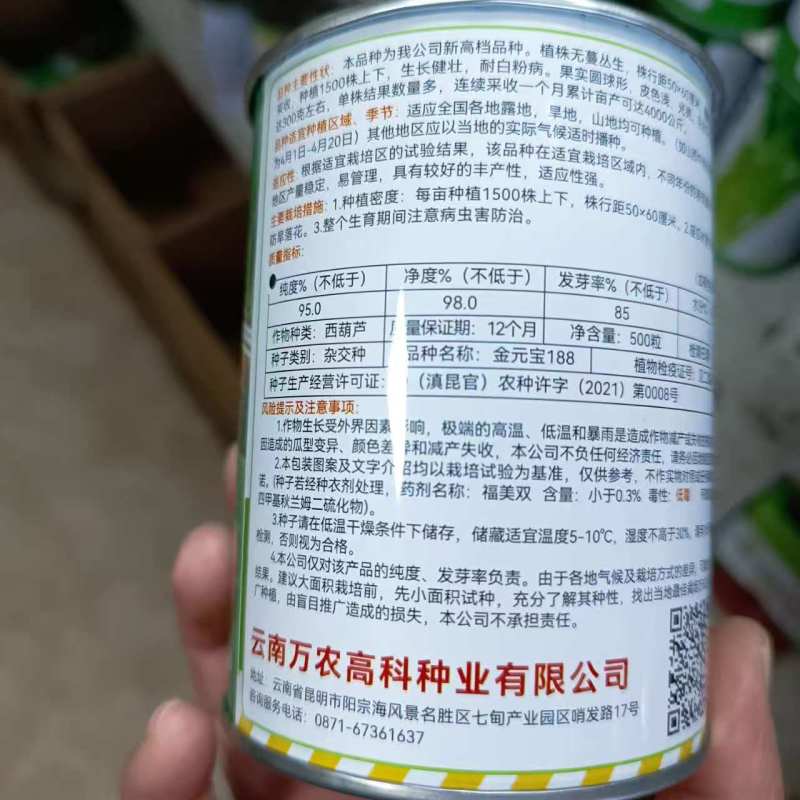 金元宝188高档无蔓圆球形西葫芦种子产量高皮色浅光亮圆葫