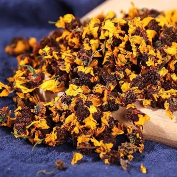昆仑雪菊中药材无硫品质好货手工挑选康养斋中药材专营