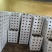 河北新鲜上市平菇价格美丽质量好对接全国量大从优欢迎询价