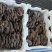 河北新鲜上市平菇价格美丽质量好对接全国量大从优欢迎询价