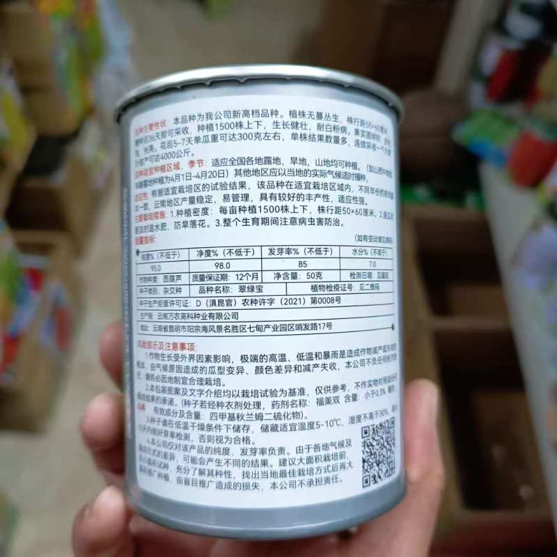 翠绿宝西葫芦种子高档无蔓圆形西葫芦种籽产量高瓜色油亮元宝