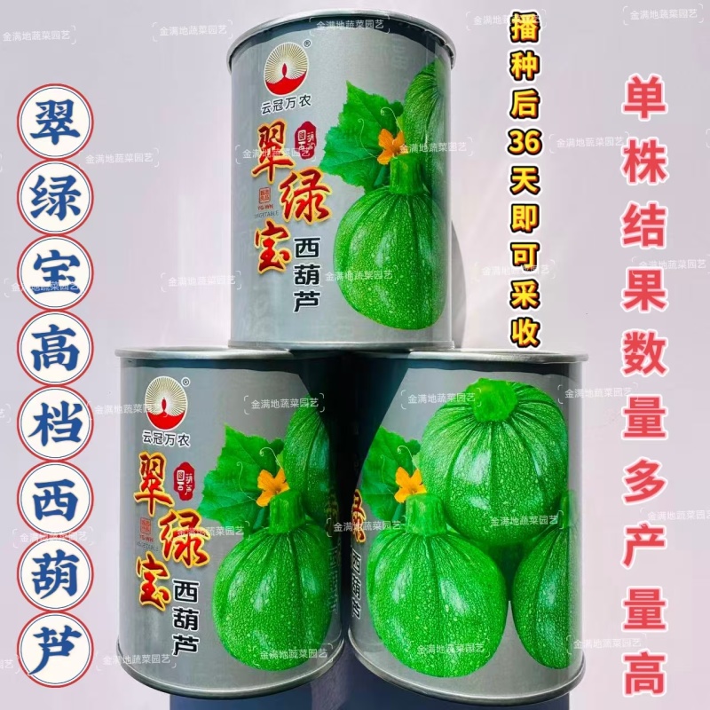 翠绿宝西葫芦种子高档无蔓圆形西葫芦种籽产量高瓜色油亮元宝