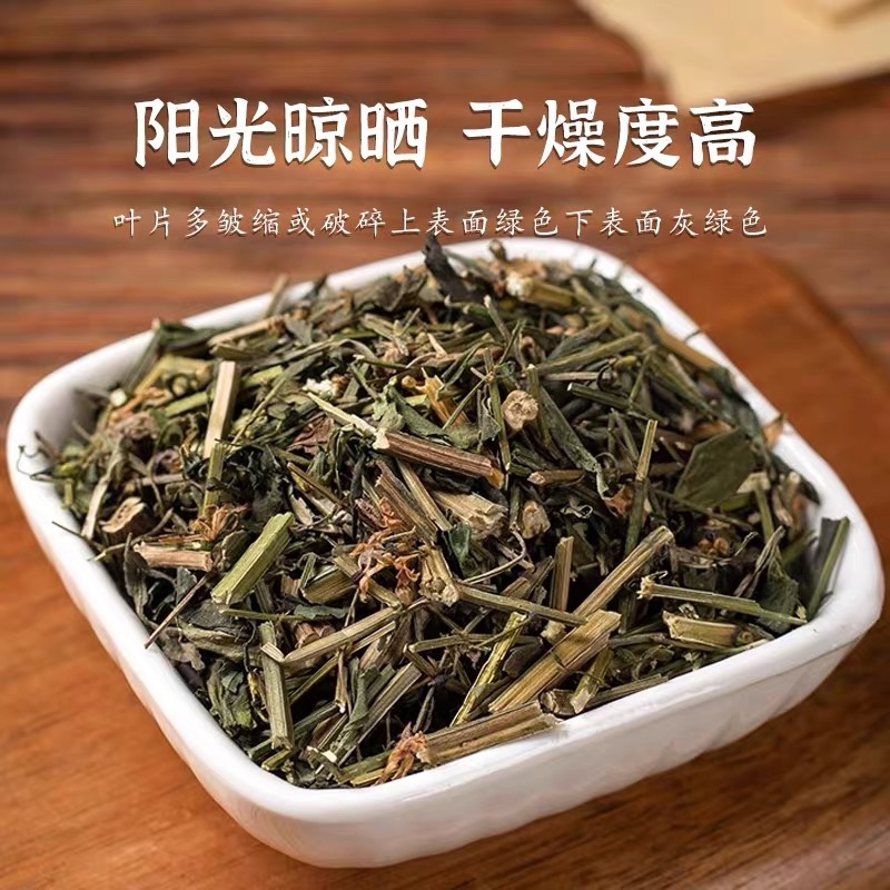 穿心莲新货野生穿心莲干净无杂质中药材批发